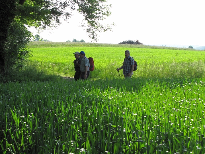 Wanderung 2013_007.jpg